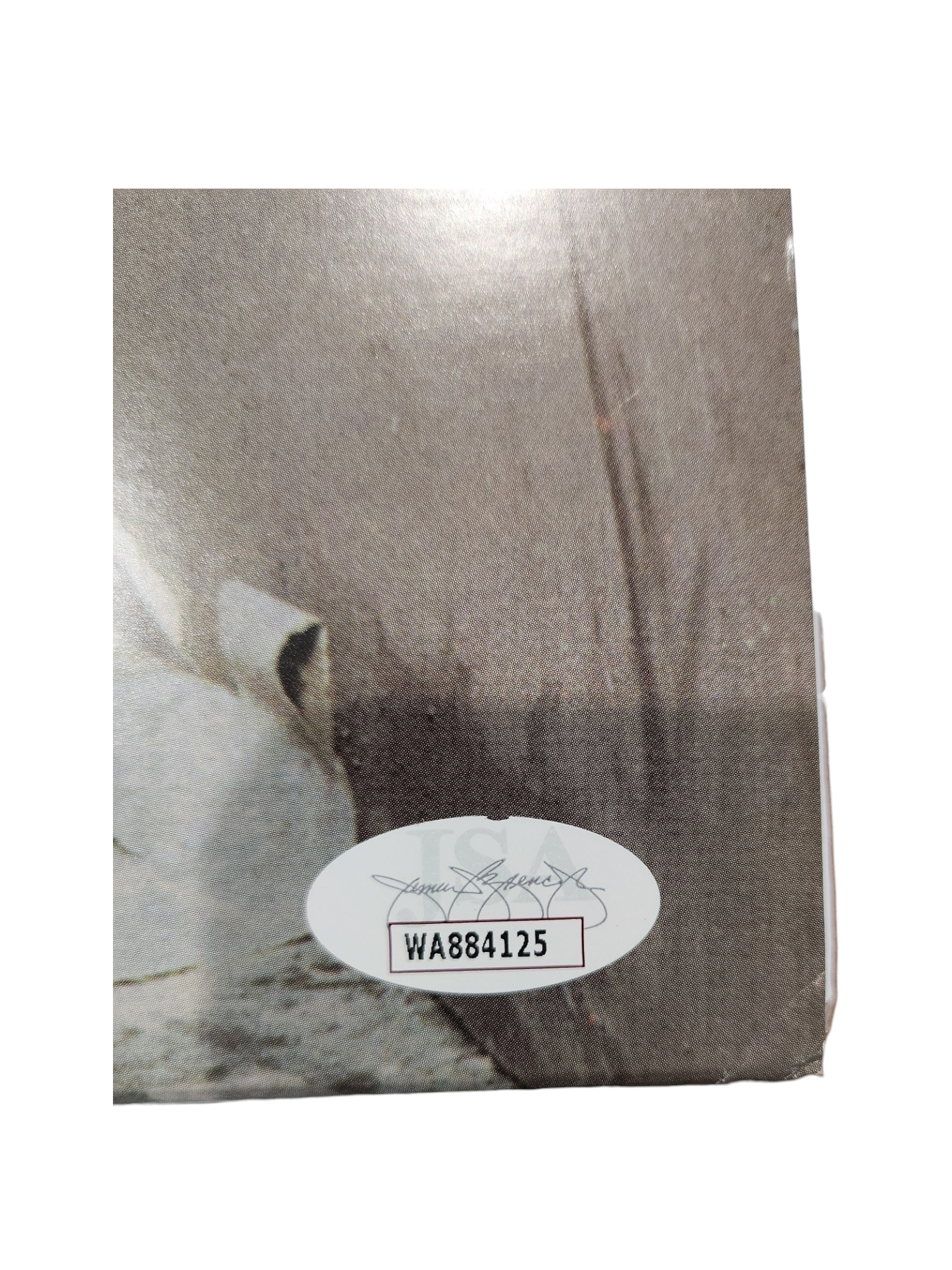 Stay Hungry Twisted Sister Vinyl Signed by Dee Snider w inscription "Stay Twisted"